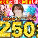 【ドッカンバトル】大型CPベジットブルー250連ガチャ&高難易度クリア挑戦🔥 LIVE 【ドラゴンボールZ ドカバト】