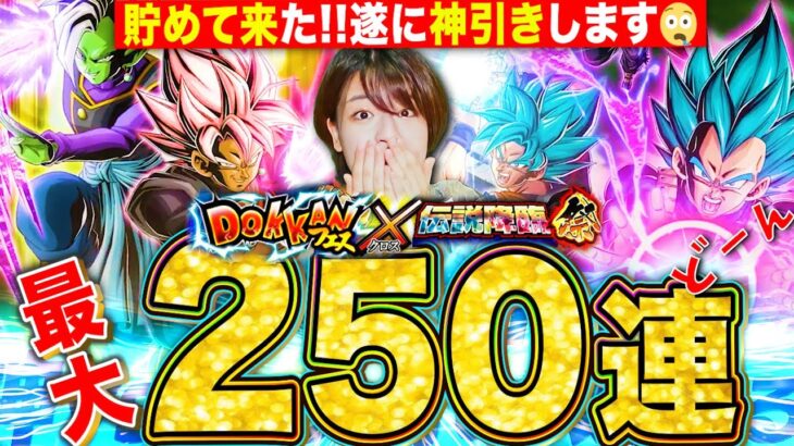 【ドッカンバトル】大型CPベジットブルー250連ガチャ&高難易度クリア挑戦🔥 LIVE 【ドラゴンボールZ ドカバト】