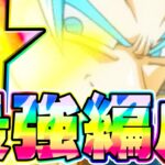 史上最強の超ウルトラパーティが完成しました【ドッカンバトル】