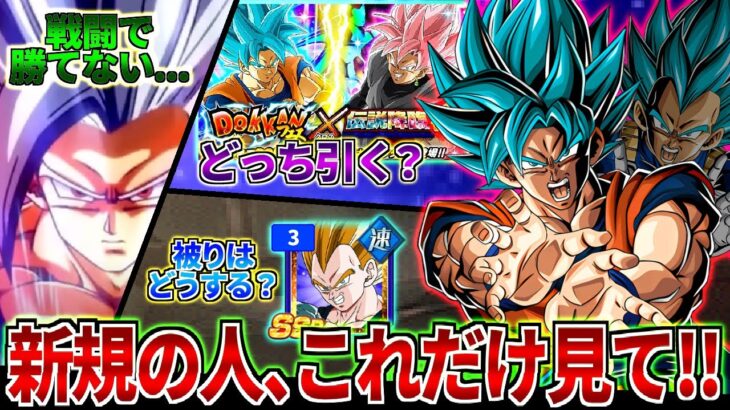 【ドッカンバトル】新規の内に絶対知りたい情報まとめ!!これを見ればドッカンバトルの大枠が分かります