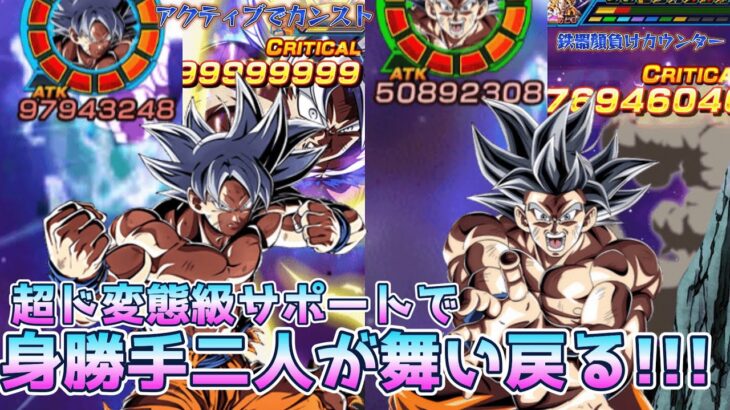 身勝手の極意2体に親ギャリサポートかけまくったら衝撃的な強さだった！【ドッカンバトル】