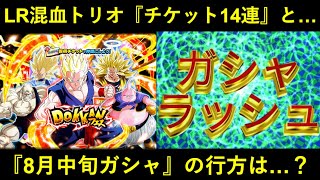 【ドッカンバトル】『LR混血トリオ』チケット14連と…。『8月中旬ガシャ』の行方は？