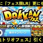 【ドッカンバトル】来月『フェス限定LR』がもう1体追加される中…『LR混血トリオフェス』は引くべきか？