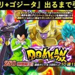 【ドッカンバトル】『ゴルフリ+ゴジータドッカンフェス』出るまで引く配信