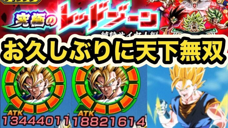 10周年超ベジット完全接待‼︎レッドゾーン純粋サイヤ人編vsブロリー&カリフラケール初見で挑んでみた！【ドッカンバトル】【Dragon Ball Z Dokkan Battle】