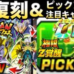 初復刻は？新フェス『スーパーベビー2(大猿ベビー)』ガチャピックアップ＆注目キャラ徹底解説！！【ドッカンバトル】【地球育ちのげるし】