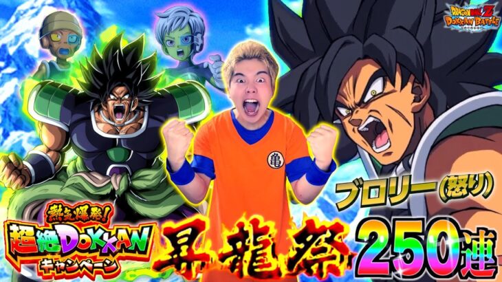 【ドッカンバトル】怒り大爆発!? 新LRブロリー狙ってSSR確率2倍の昇龍祭250連ぶん回したら無限に確定演出きてLR神引き祭り開幕するも衝撃の結末に思わず涙…!?【超絶DOKKAN第2弾】