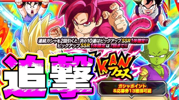 DAIMA ピッコロさんミニを狙って追撃ガチャ【ドッカンバトル】