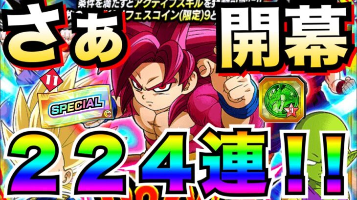 神チケットは..『DAIMA悟空4ミニ』ガチャ224連でヤバい事になった..！！【ドッカンバトル】【地球育ちのげる