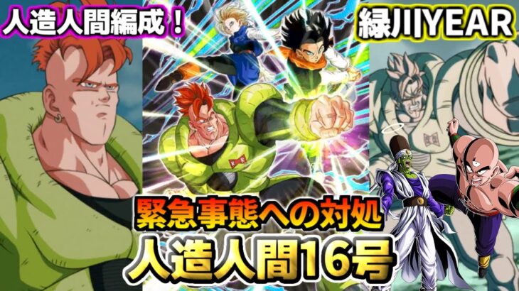 【ドッカンバトル】1分でわかる！「人造人間16号」【比較】