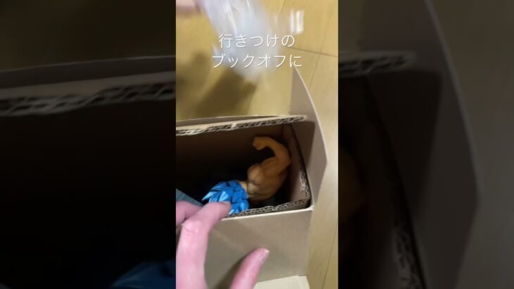 今度こそ念願のドッカンバトルコラボ6周年ベジータ（進化）完品を信用できるブックオフでゲットしました😭#ドラゴンボール #ブックオフ #ベジータ