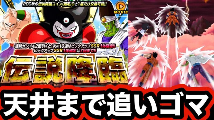 流石に性能好きすぎるので天井まで伝説降臨追いゴマしてみた！【ドッカンバトル】【Dragon Ball Z Dokkan Battle】