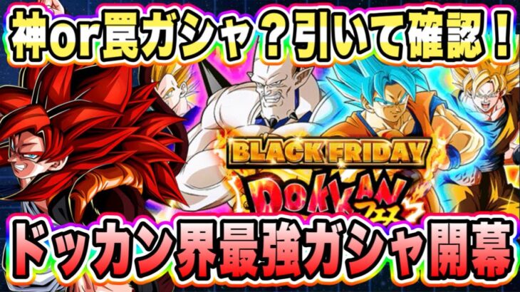 【ドッカンバトル】最強キャラ大集結のブラックフライデードッカンフェス＆伝説降臨祭開幕！スルーも有りだが最強狙ってお試し引きするぞ！【Dragon Ball Z Dokkan Battle】