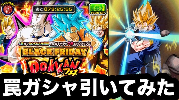 誰も引かないであろう罠ガシャブラックフライデードッカンフェス１セット引いてみた！【ドッカンバトル】【Dragon Ball Z Dokkan Battle】
