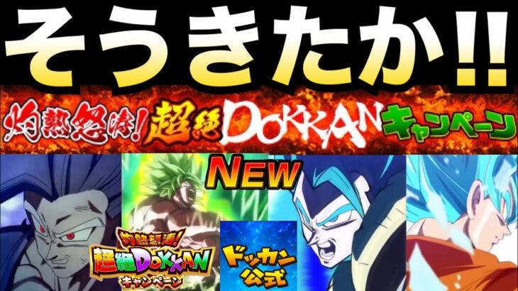 公式ムービー来たぞ！！オレ..目玉キャラ分かったわ..超絶ドッカンCP【ドッカンバトル】【地球育ちのげるし】