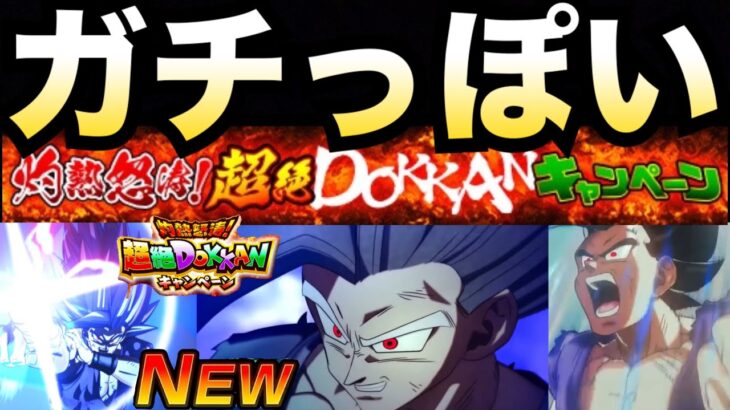 『ビースト』やっぱりお前が主役なのか..超絶ドッカンCP【ドッカンバトル】【地球育ちのげるし】