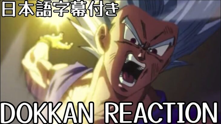 ドッカンバトル LR 孫悟飯(ビースト)リアクションDOKKAN Gohan (Beast) Reveal Reaction
