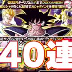 LRターレスを狙って伝説降臨ガチャ240連【ドッカンバトル】