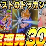 新ビースト狙いでドッカンフェス引いてみた！｜ドッカンバトル【ソニオTV】