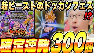 新ビースト狙いでドッカンフェス引いてみた！｜ドッカンバトル【ソニオTV】