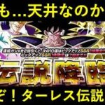 【ドッカンバトル】『極系最強編成フィールド要員』の可能性を信じて…。行くぞ！ターレス伝説降臨！