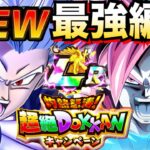 『最強×ビースト』オレが選ぶ最強編成が最高すぎんだが！！超絶ドッカンCP【ドッカンバトル】【地球育ちのげるし】