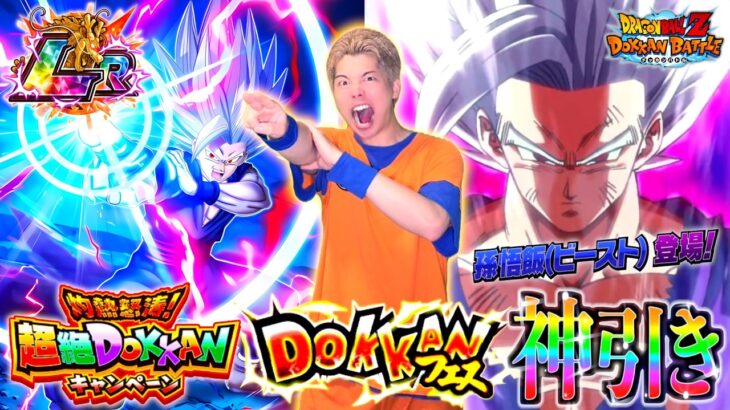 【ドッカンバトル】今度は僕の番だ…!! 超絶CP第1弾の新LR悟飯ビースト狙ってドッカンフェスぶん回したら”灼熱怒涛”の神引き炸裂して夏のバーゲンセール状態www【超絶DOKKANキャンペーン】