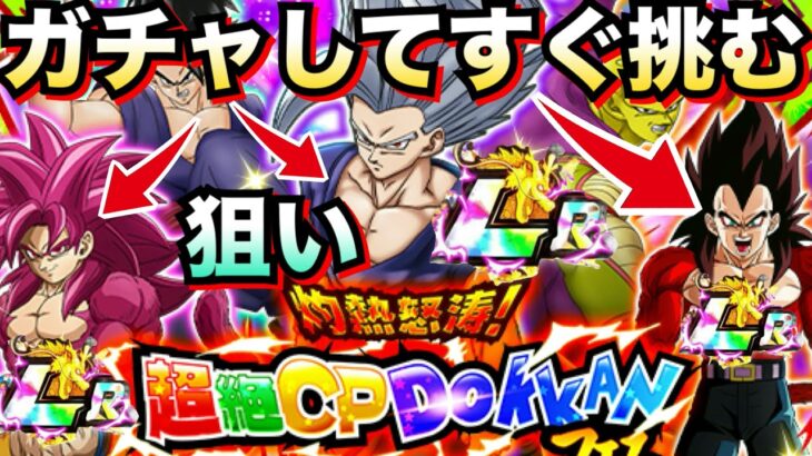 『超絶CPフェス』80連ガチャして出たキャラですぐ挑む！！ビースト出てくれ！！【ドッカンバトル】【地球育ちのげる】