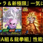 【ドッカンバトル】『DAIMAコンビ』『龍拳コンビ』一気に4体登場！新キャラ＆新極限性能解説！