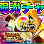 さぁっ開幕！！最強だから『無限ガチャ』DAIMA悟空4＆祭ベジータ3ガチャぶん回す！！ドカバト11周年【ドッカンバトル】【地球育ちのげるし】