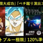 【ドッカンバトル】夏LR極限大成功＆ペチペチキック演出スキップ！『LRベジットブルー極限』120%準備万端！