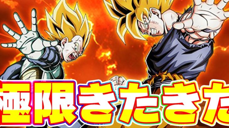 奮起たちの極限性能がきたきたきたー【ドッカンバトル】