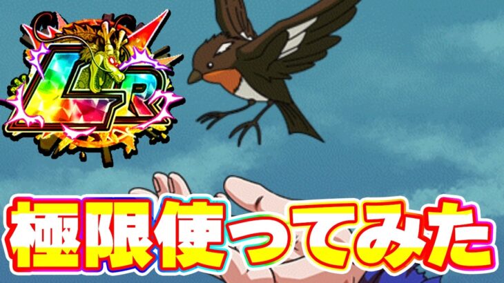 極限した小鳥を使ってみたら理解不能に強かったです【ドッカンバトル】